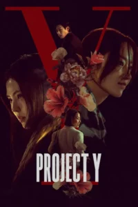 Project Y (2025) Hindi Dubbed Korean Movie 480p | 720p | 1080p